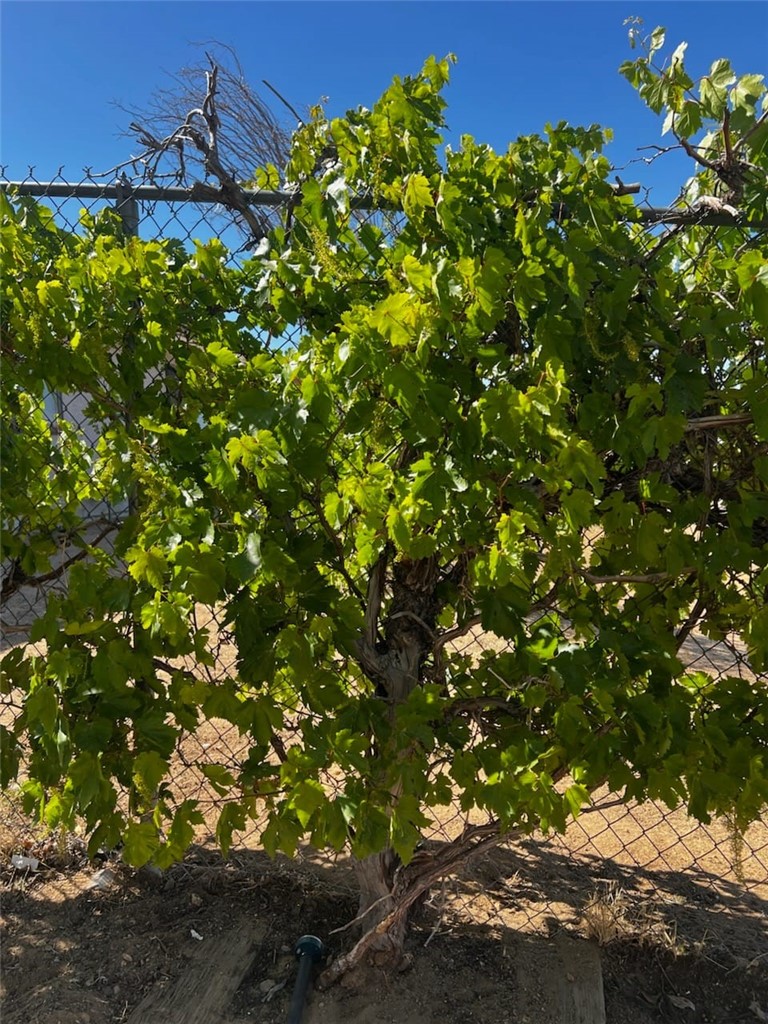 18312 Talisman Property Photo 3