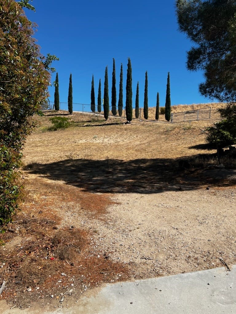 18312 Talisman Property Photo 10