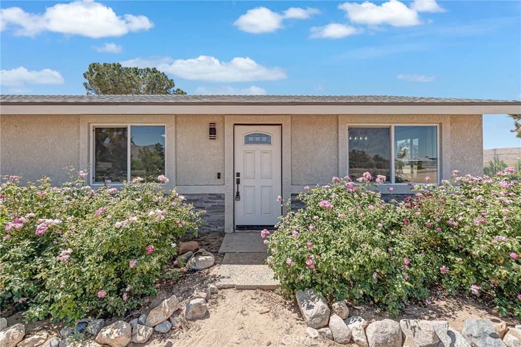 25811 Del Sol Property Photo 1