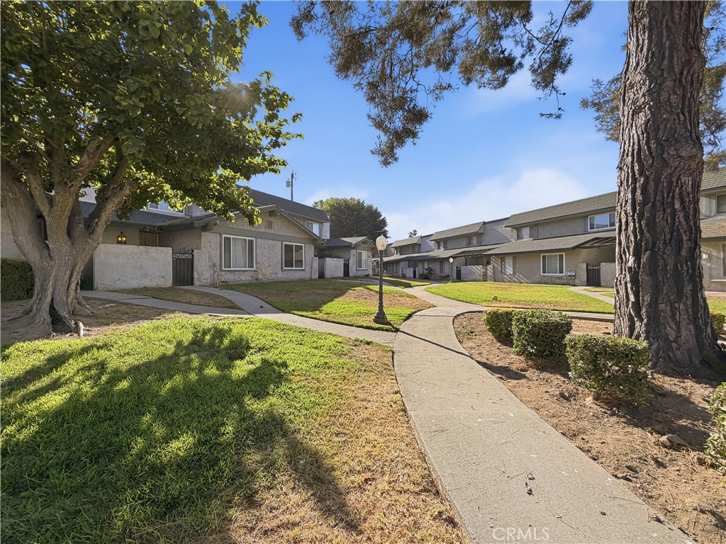 3600 Mountain Property Photo 1