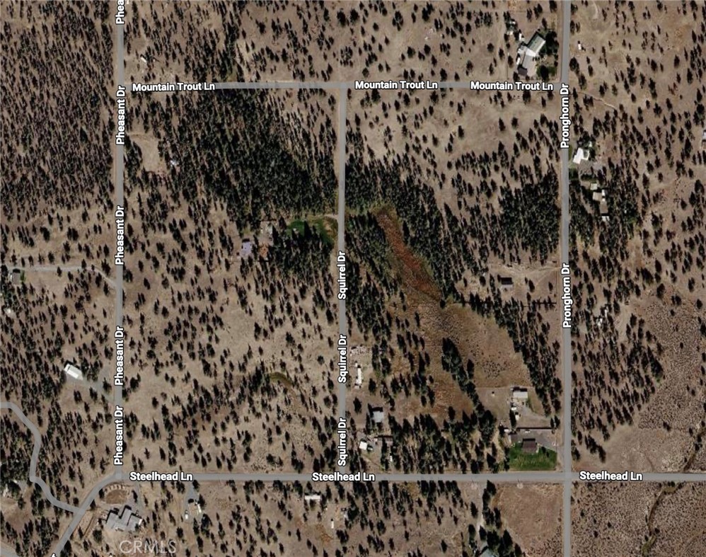 0 Pheasant Drive Property Photo 1