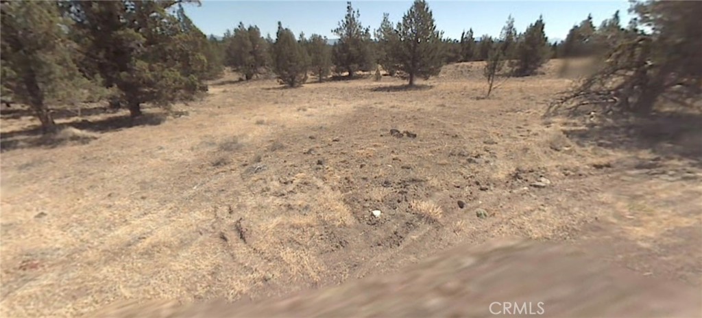 0 Pheasant Drive Property Photo 3