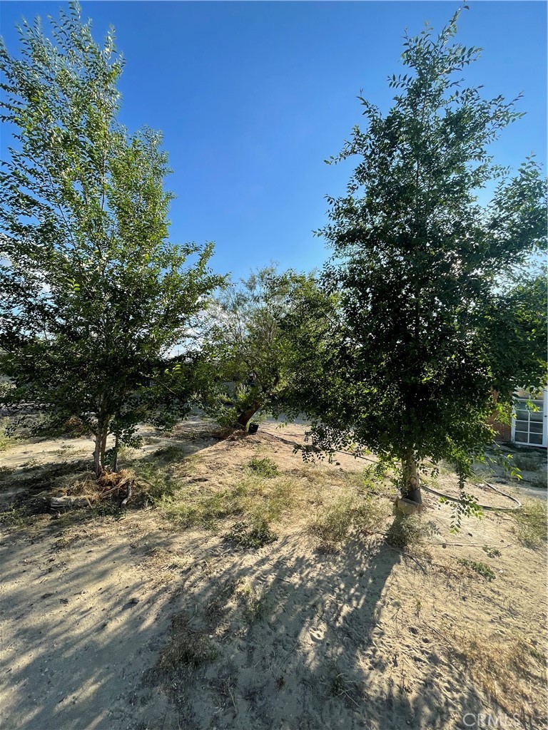 17244 Newmont Ave Property Photo 23