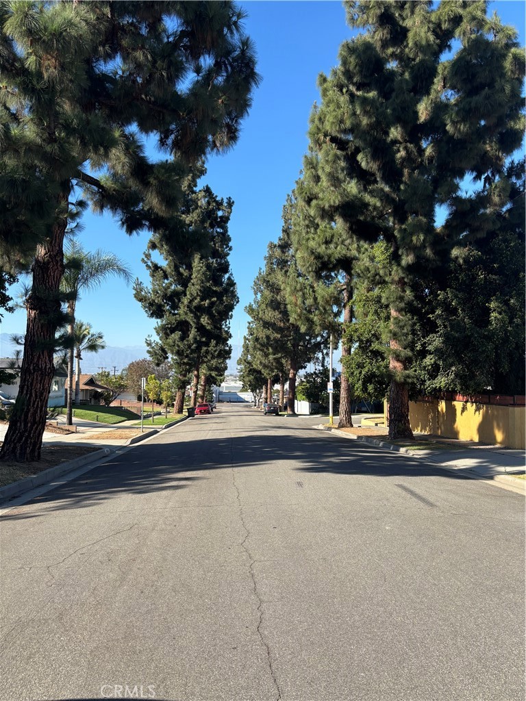 963 Ameluxen Ave Property Photo 3