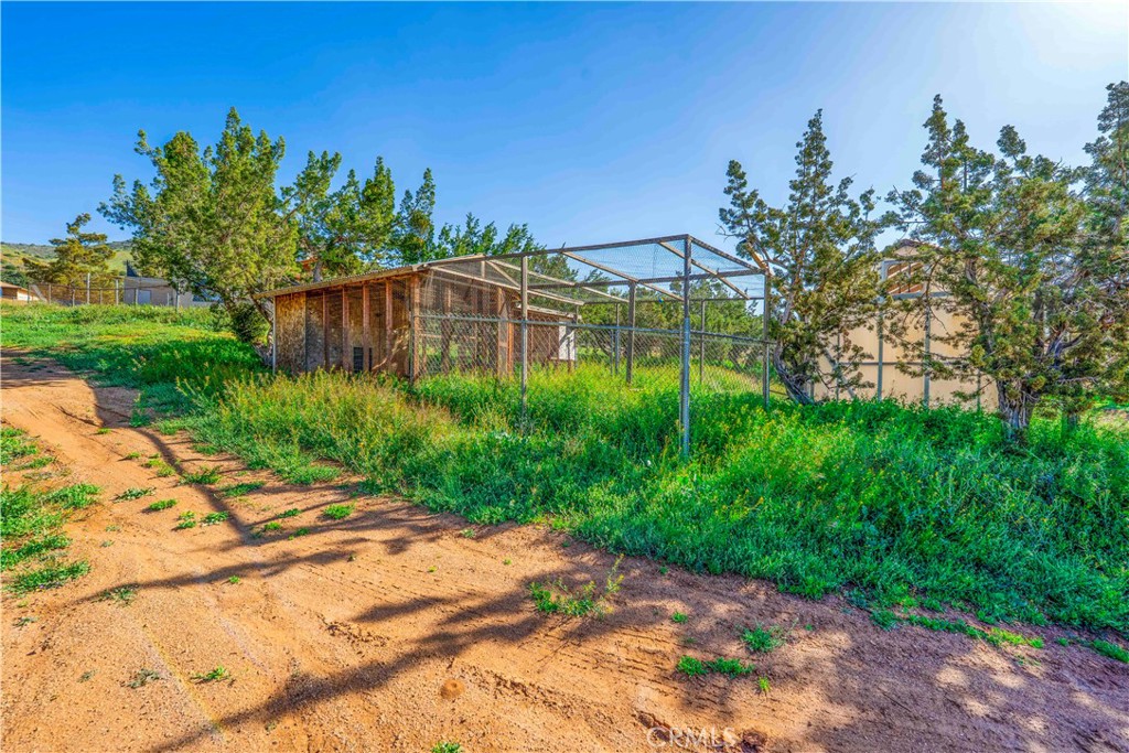 34754 Ellenan Property Photo 12