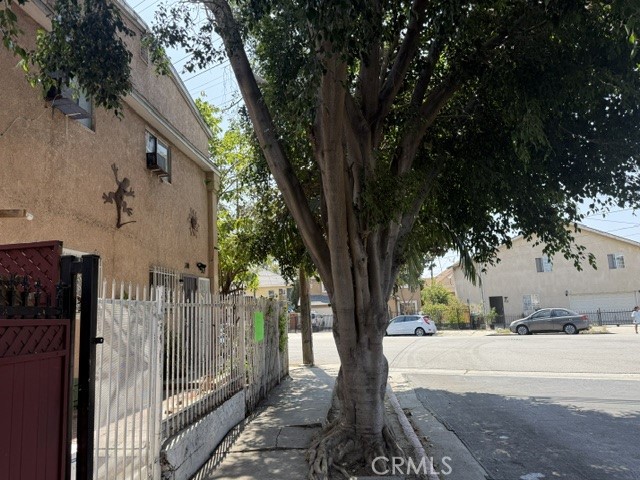 300 E 42nd Place Property Photo 3
