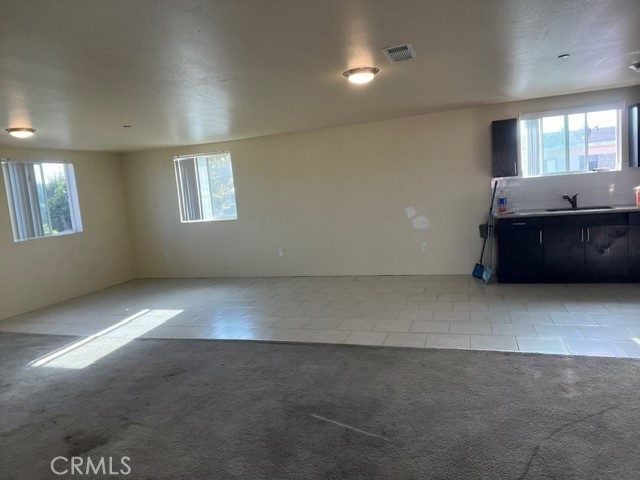 330 1/2 E 99th Property Photo 4