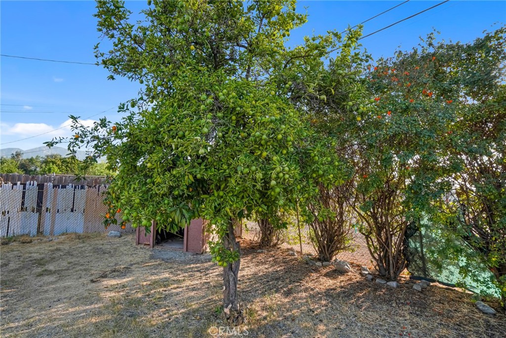1538 Amador Ave Property Photo 39