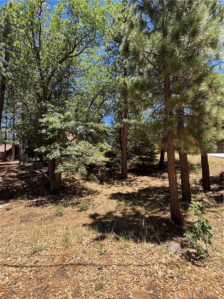 815 Conklin Property Photo 3