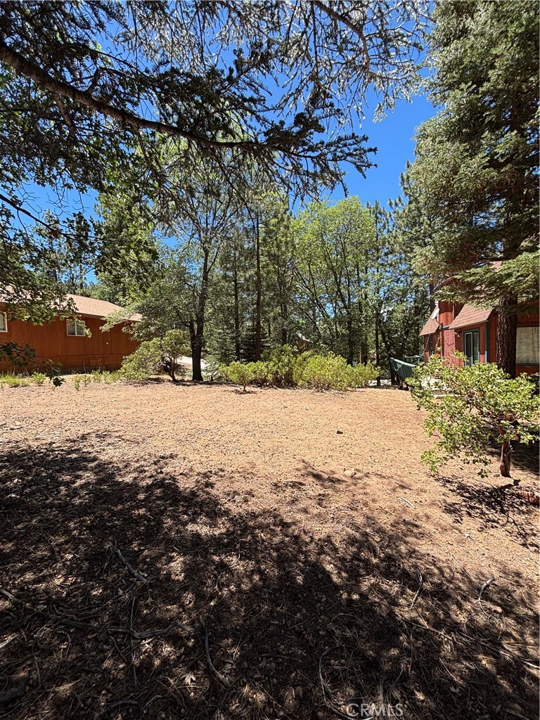815 Conklin Property Photo 5