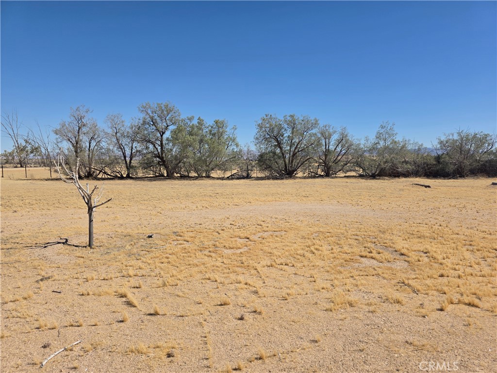 39070 Yucca Property Photo 7