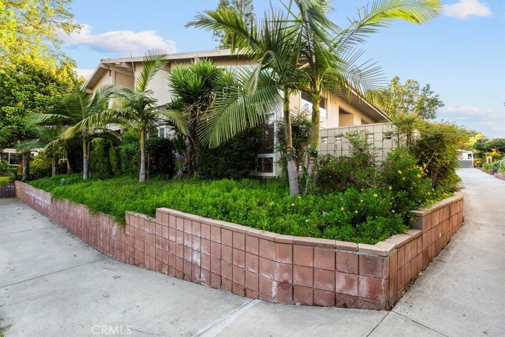 397 Avenida Castilla C Property Photo 4