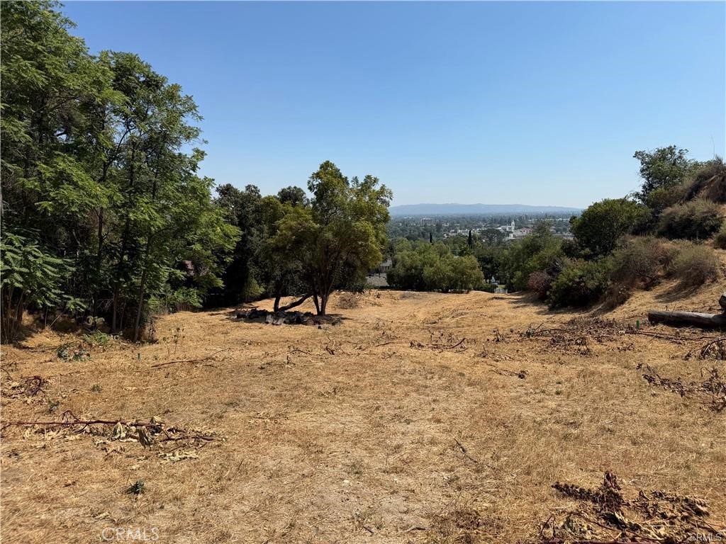 811 Crescent Property Photo 3