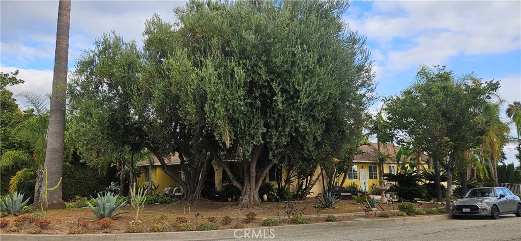 3560 Fairmeade Property Photo 1