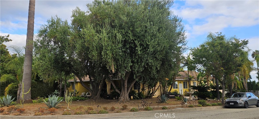 3560 Fairmeade Property Photo 2