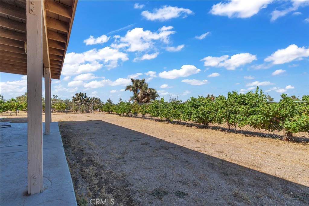 9379 Middleton Road Property Photo 21