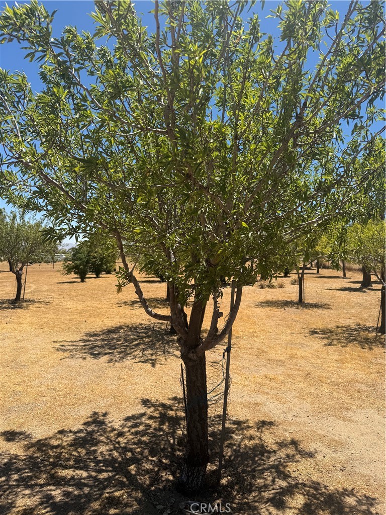 9379 Middleton Road Property Photo 24
