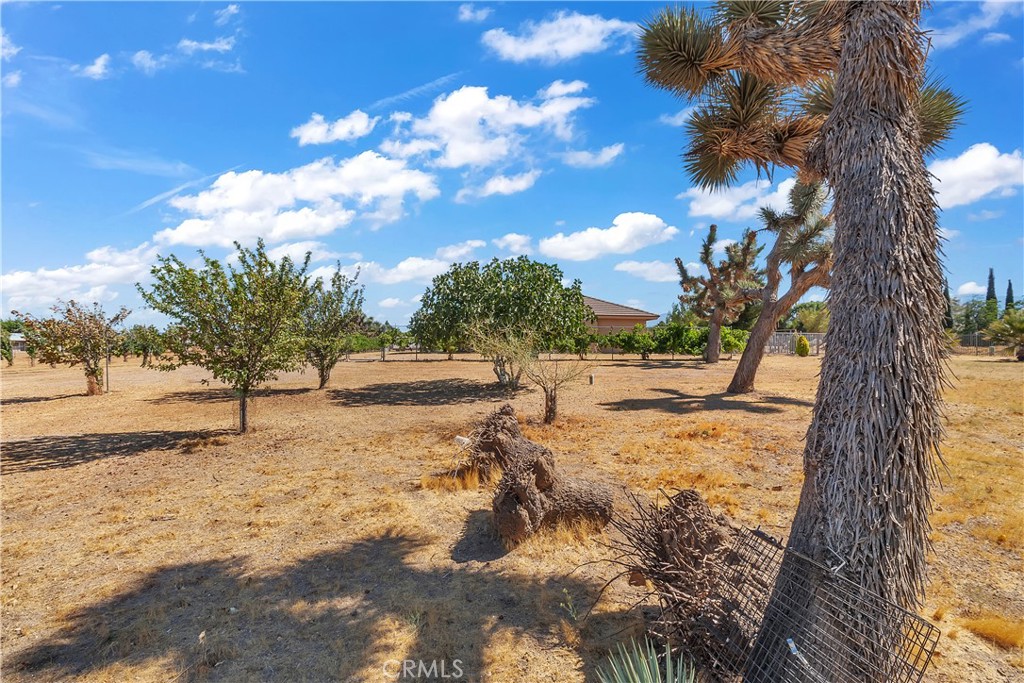 9379 Middleton Road Property Photo 27