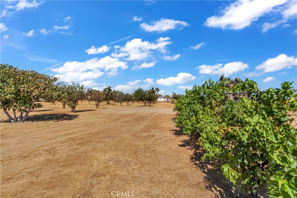 9379 Middleton Road Property Photo 30