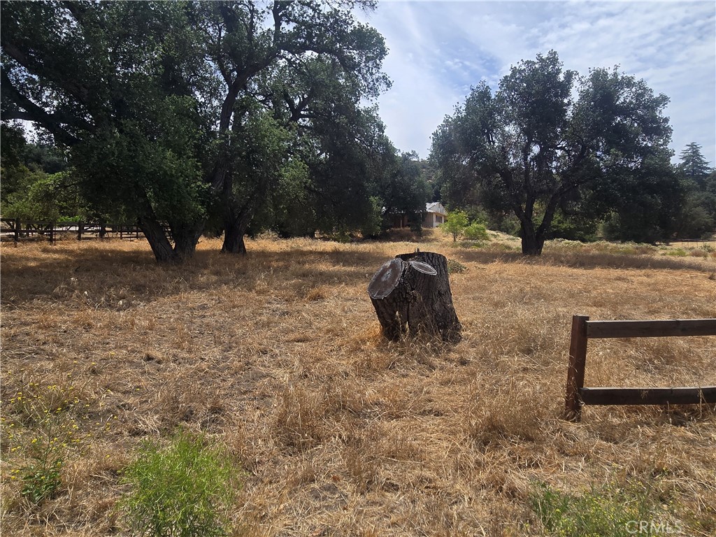 32539 Camino Moro Property Photo 5