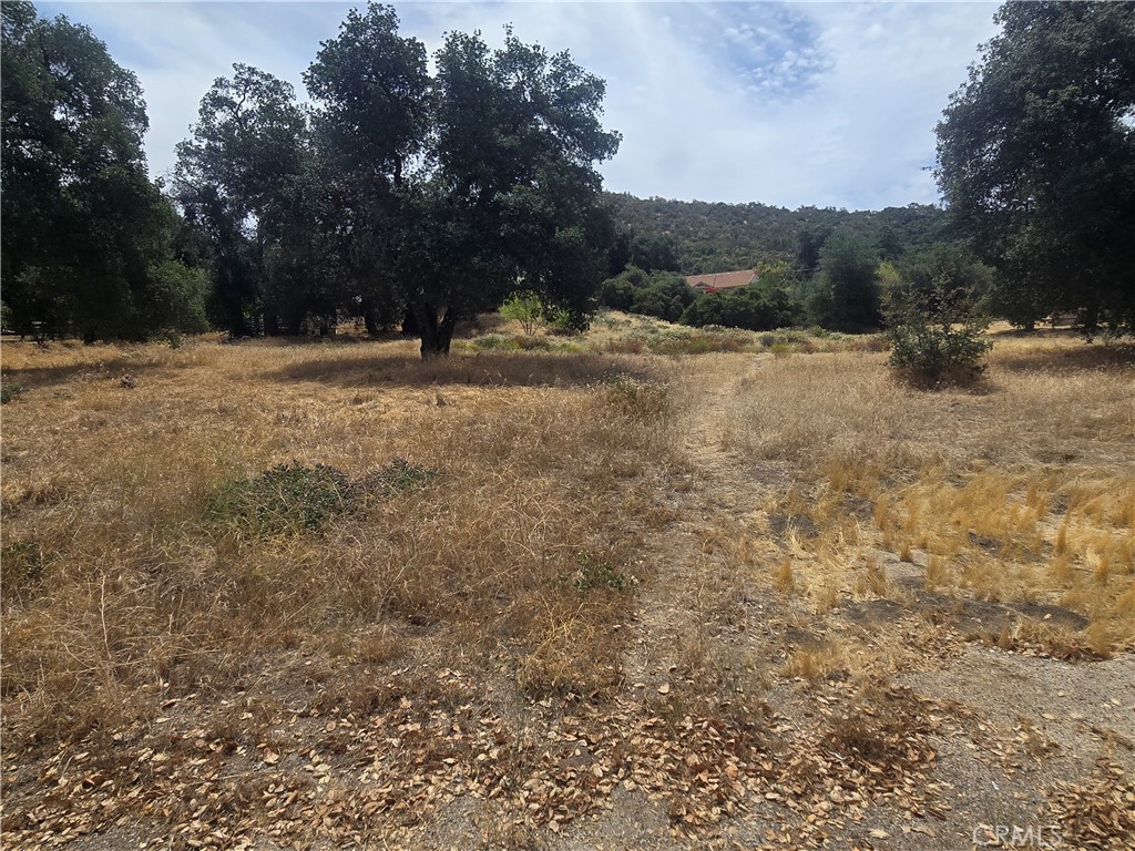 32539 Camino Moro Property Photo 6