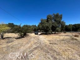 32539 Camino Moro Property Photo 21
