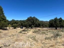 32539 Camino Moro Property Photo 28