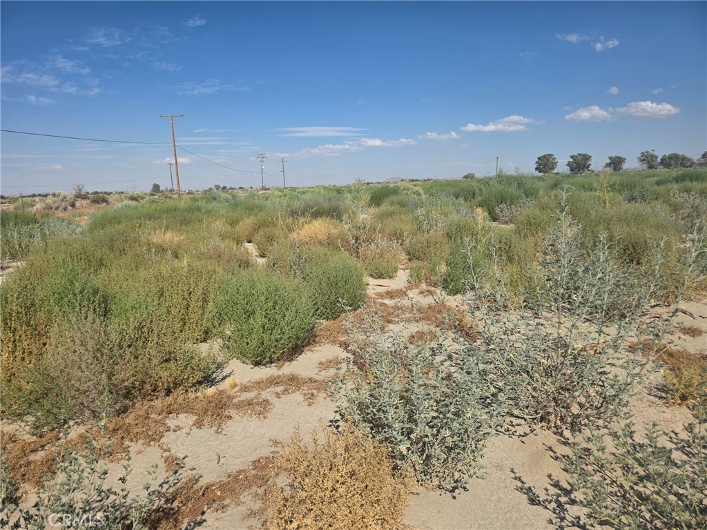 150 Ste/vic Property Photo 1