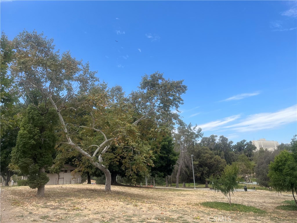 3716 Flora Avenue Property Photo 20