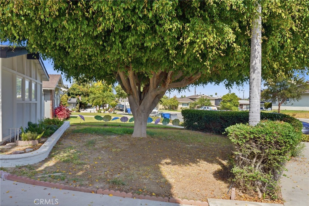 1430 Hillandale Property Photo 48