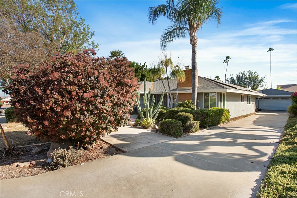 1185 La Subida Court Property Photo 2