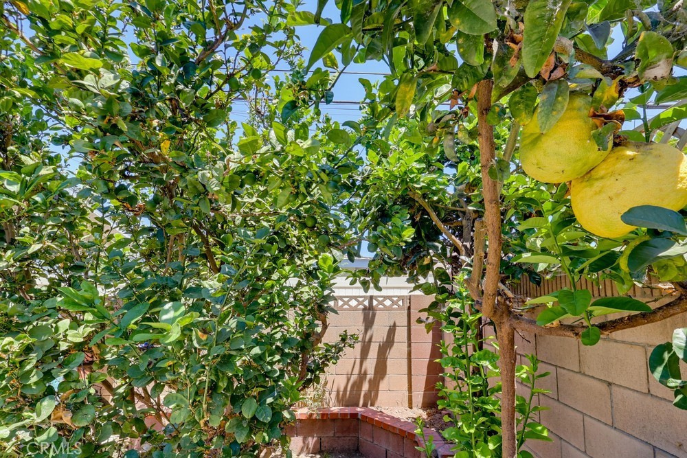 12027 168th Property Photo 50