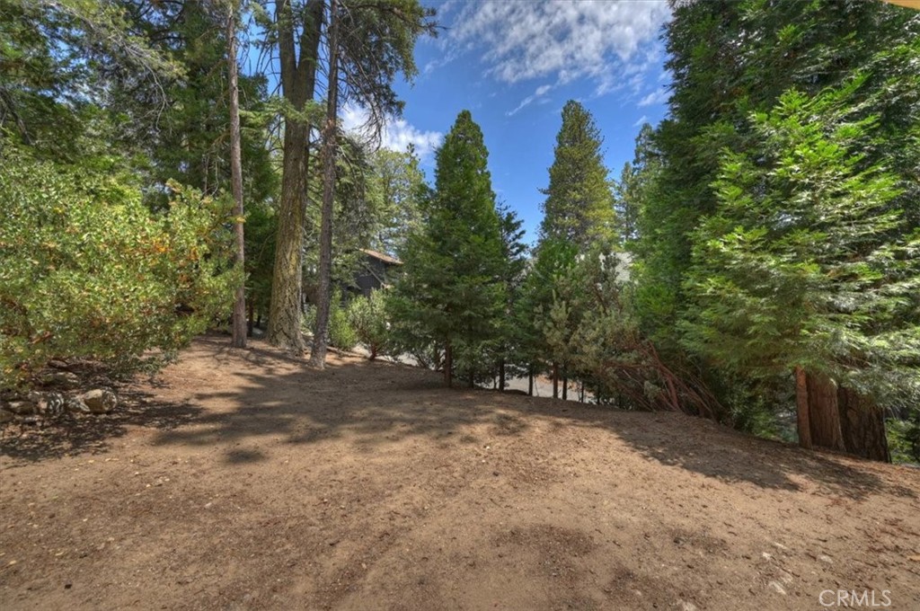 27302 Pinewood Property Photo 22