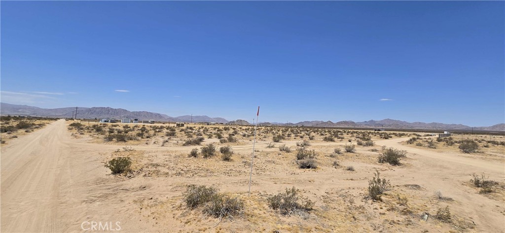 36240 Lantana Street Property Photo 8