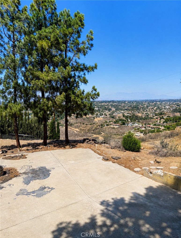 17301 Palm Property Photo 9