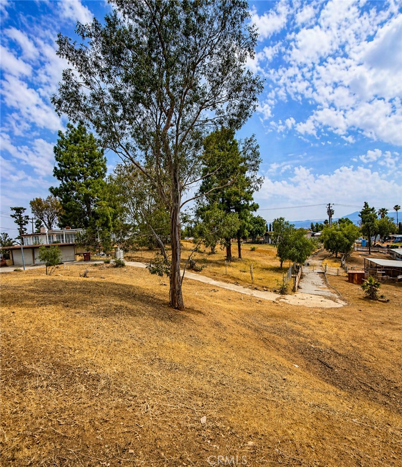 17301 Palm Property Photo 34