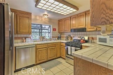 27290 Matterhorn Drive Property Photo 12