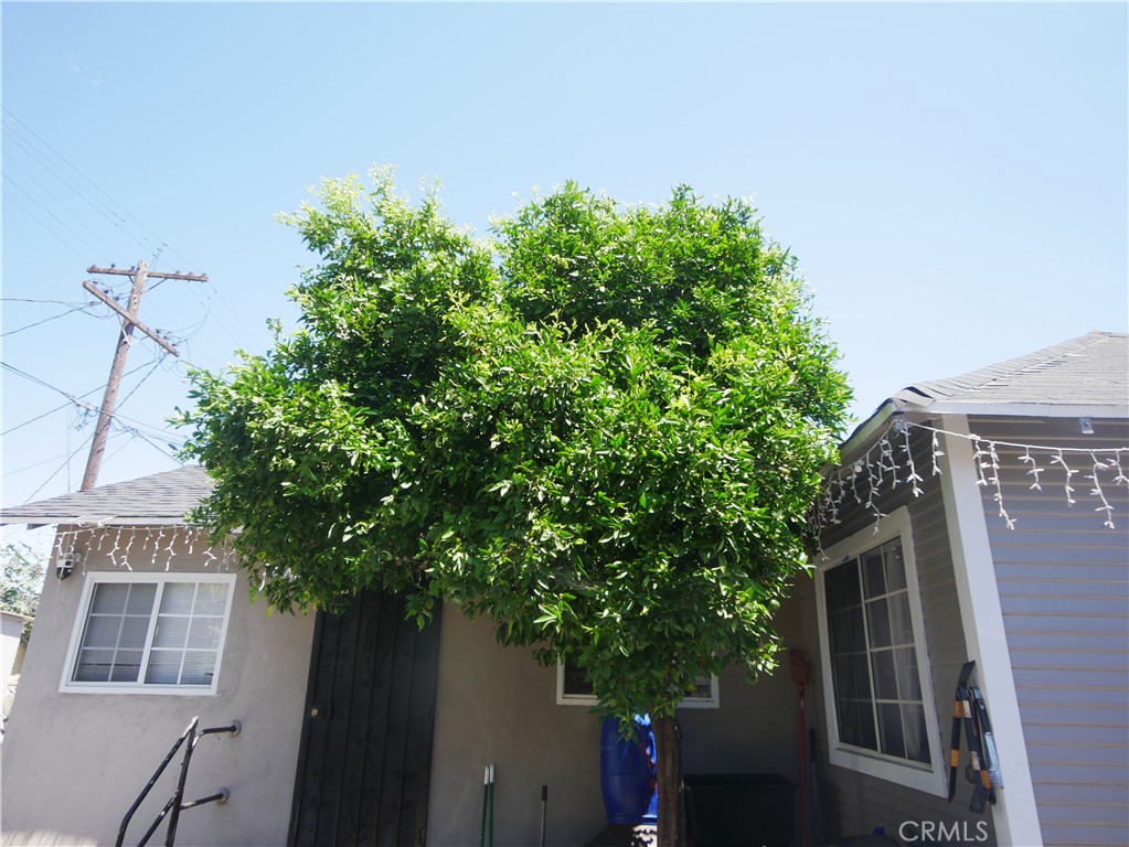 737 E 47th Street Property Photo 46