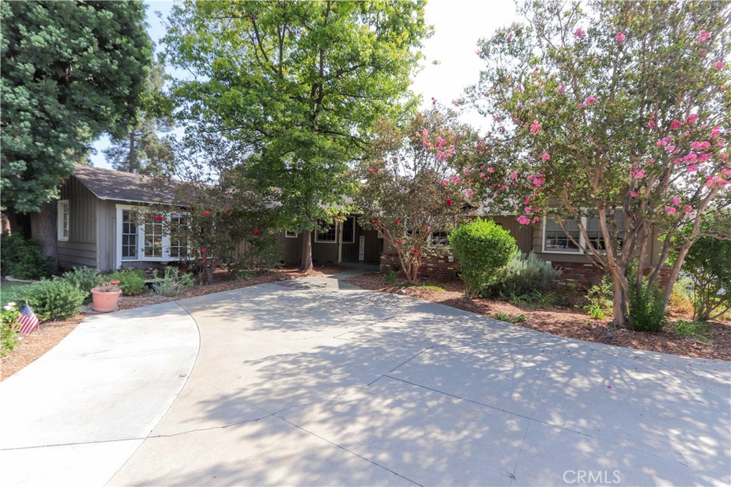 3806 Rosehedge Property Photo 1