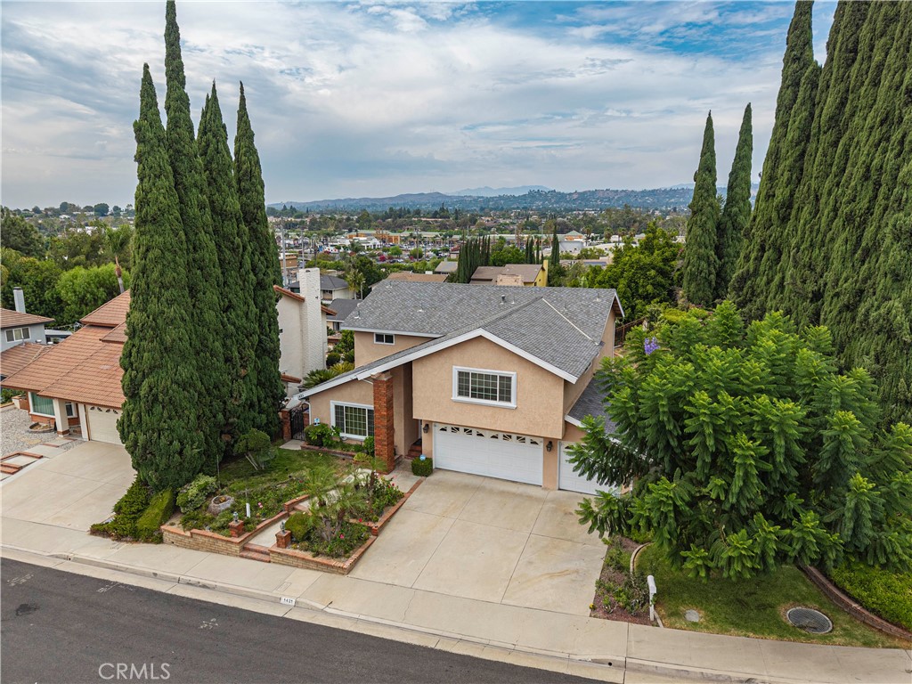 1421 Lemon Tree Court Property Photo 7