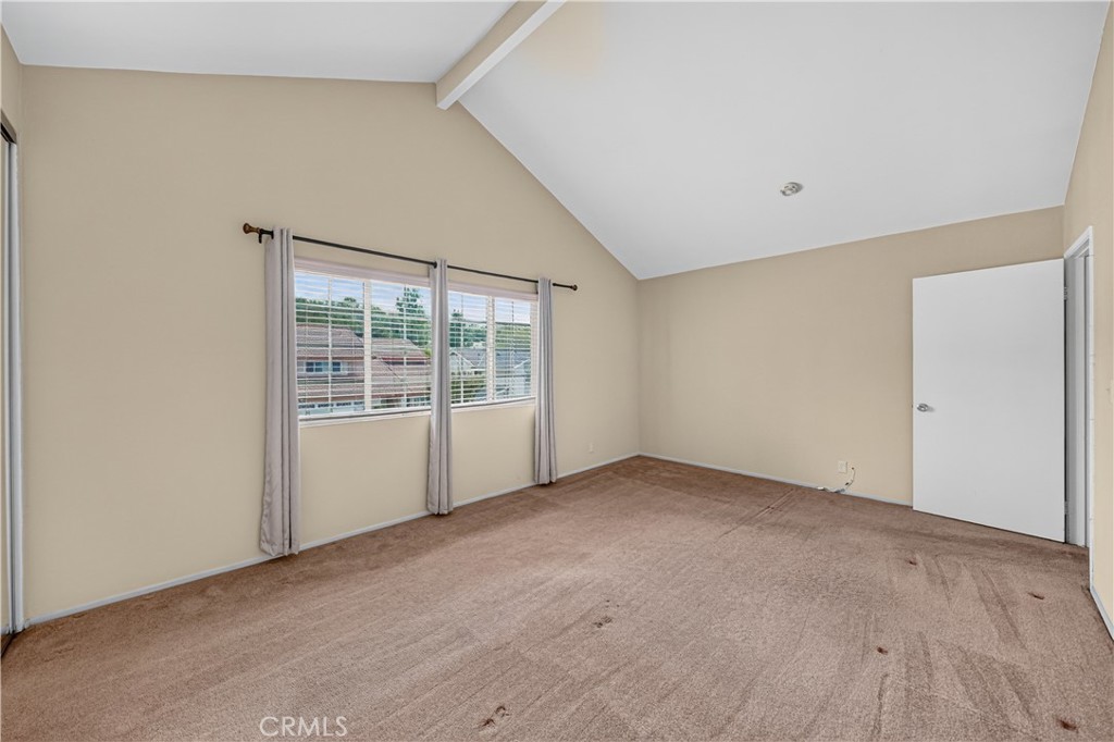 1421 Lemon Tree Court Property Photo 49