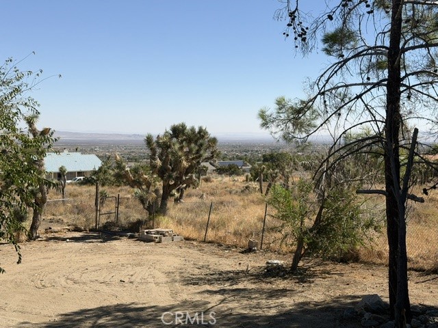 278 Yucca Property Photo 33
