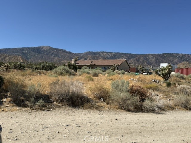 278 Yucca Property Photo 34