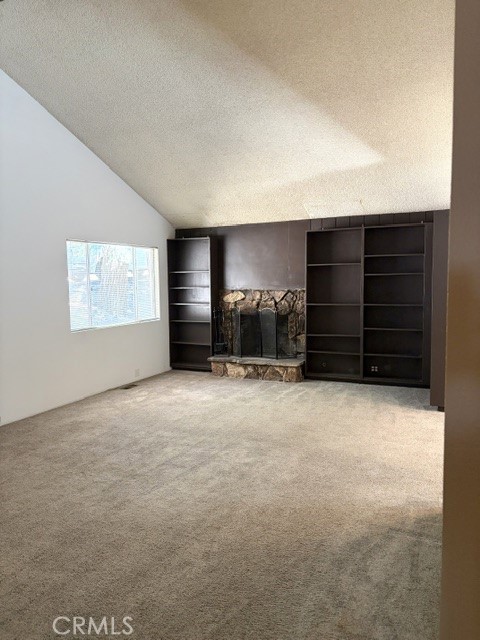 1163 Jungfrau Property Photo 11