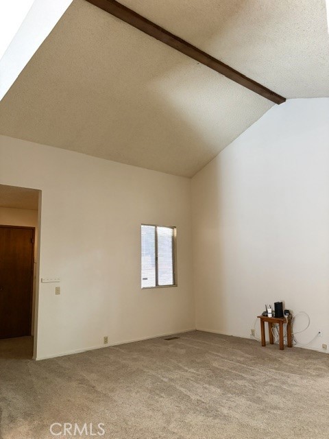 1163 Jungfrau Property Photo 14