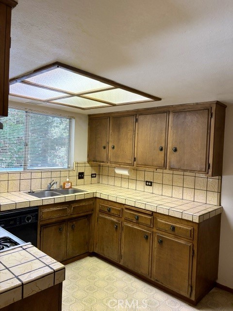 1163 Jungfrau Property Photo 18