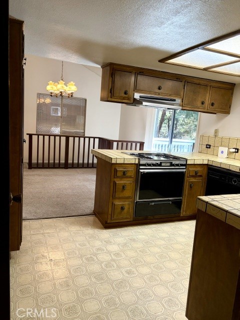 1163 Jungfrau Property Photo 19