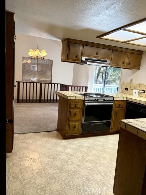 1163 Jungfrau Property Photo 19