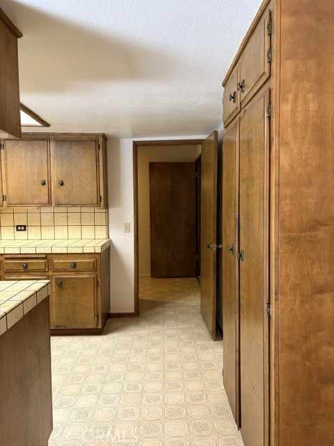 1163 Jungfrau Property Photo 22