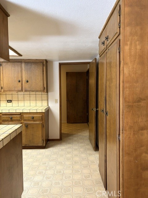 1163 Jungfrau Property Photo 22